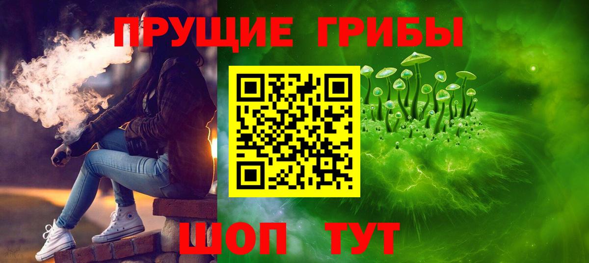 Псилоцибиновые грибы Psilocybe Сокол