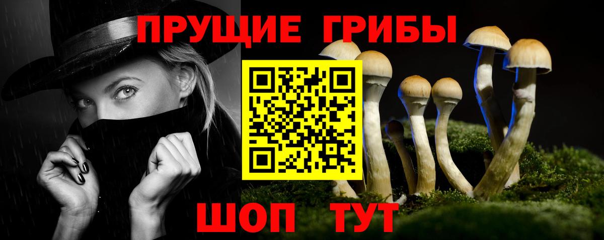 наркотики  Псилоцибиновые грибы мухоморы  Вход с VPN  Сокол 