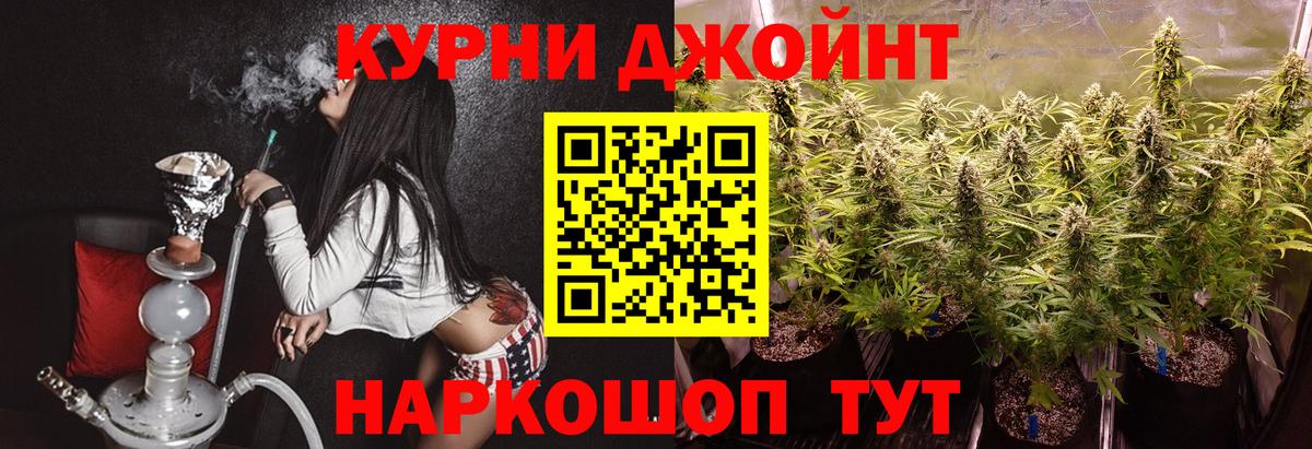 Бошки марихуана OG Kush Сокол